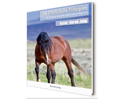 E-Book Die 7 Hufschuhe Prinzipien