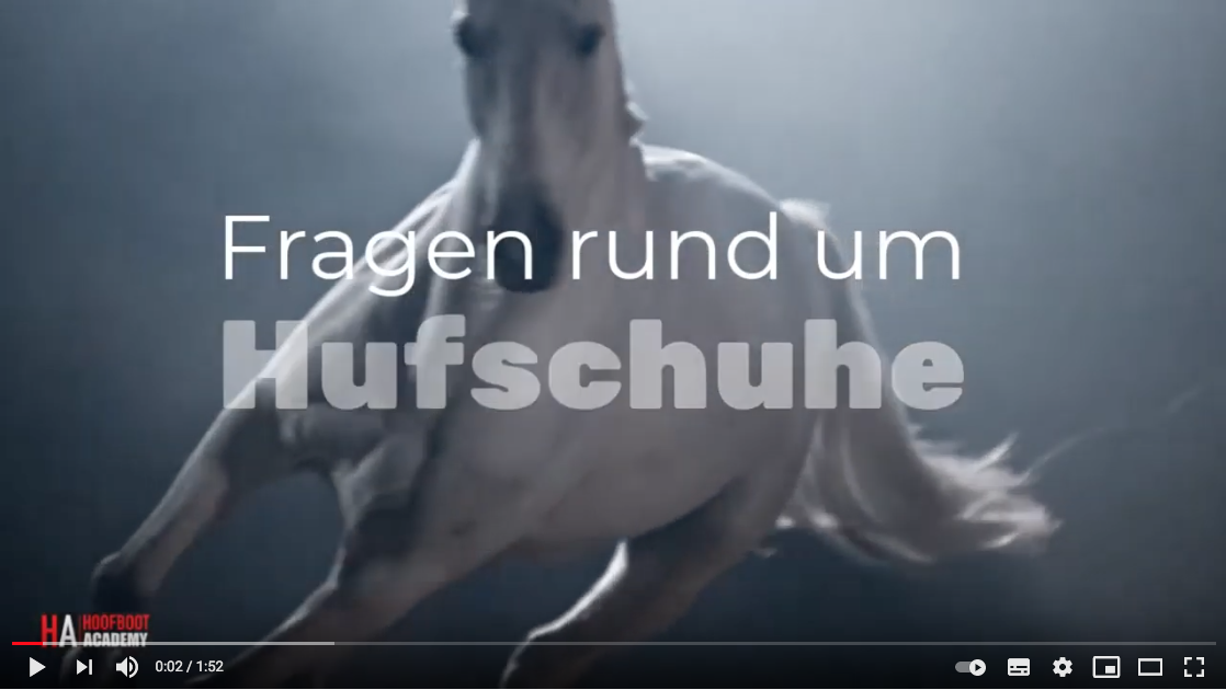 Fallen Hufschuhe auch im schnellen Galopp nicht ab? - Hufschuhe im Galopp