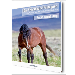 E-Book Die 7 Hufschuhe Prinzipien