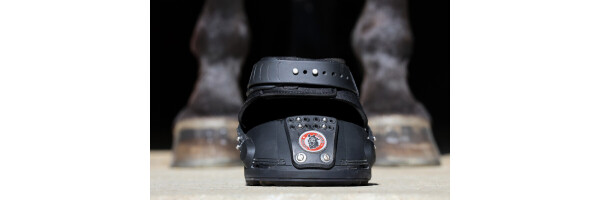 Equine Fusion TRAILBLAZER