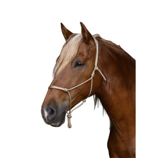 Brockamp Knotenhalfter Profi