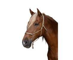 Brockamp Knotenhalfter Profi