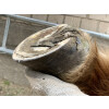 Squishpad Kurs 30.08.2026 mit Dennis Verdon