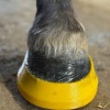 MoreAid Squish Pad Pony / Pferd F00 Lila/Purple