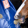 Slow Feeder HayPlay TieBag