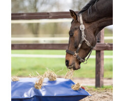 Slow Feeder HayPlay ButtonBag
