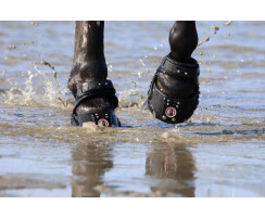 Equine Fusion Trailblazer SLIM 14