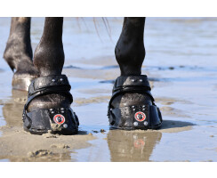 Equine Fusion Trailblazer SLIM 14