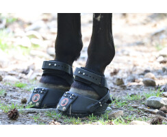 Equine Fusion Trailblazer SLIM 14