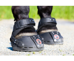 Equine Fusion Trailblazer SLIM 14