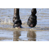Equine Fusion Trailblazer SLIM 14