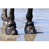 Equine Fusion Trailblazer SLIM 14