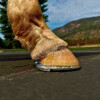 Easyshoe RS Rocker